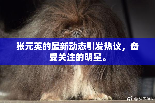 张元英的最新动态引发热议，备受关注的明星。