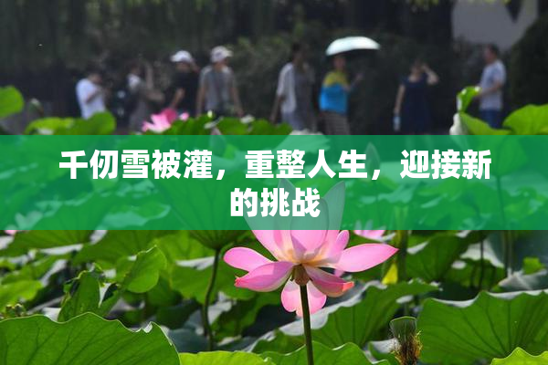 千仞雪被灌，重整人生，迎接新的挑战