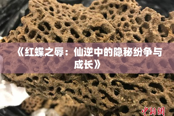 《红蝶之辱：仙逆中的隐秘纷争与成长》