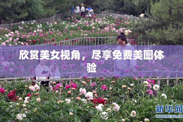欣赏美女视角，尽享免费美图体验