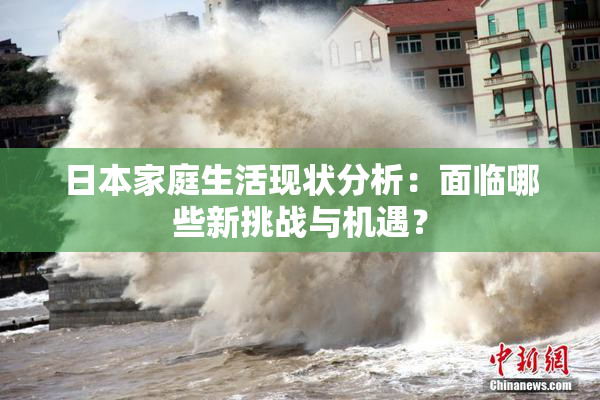 日本家庭生活现状分析：面临哪些新挑战与机遇？