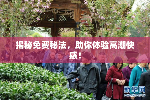 揭秘免费秘法，助你体验高潮快感！