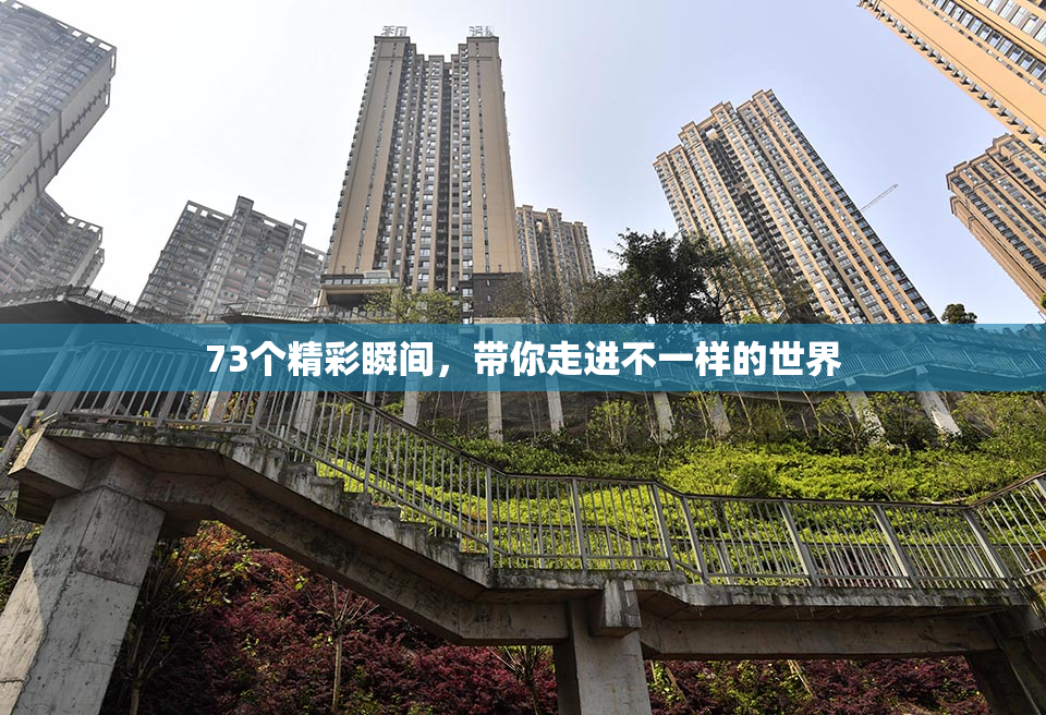73个精彩瞬间，带你走进不一样的世界