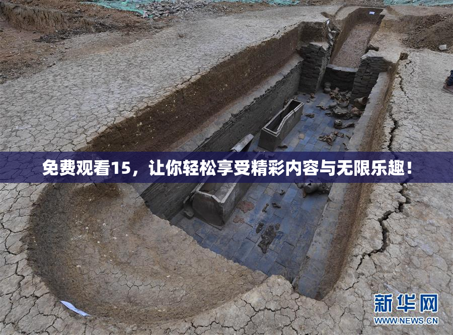 免费观看15，让你轻松享受精彩内容与无限乐趣！