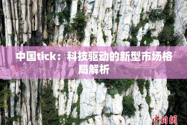 中国tick：科技驱动的新型市场格局解析