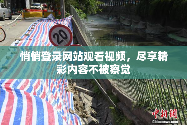 悄悄登录网站观看视频，尽享精彩内容不被察觉