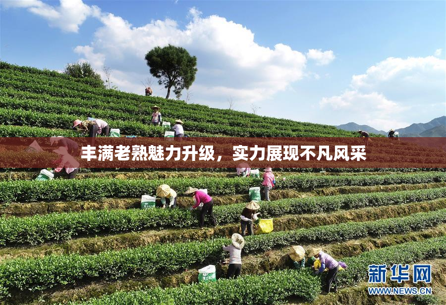 丰满老熟魅力升级，实力展现不凡风采