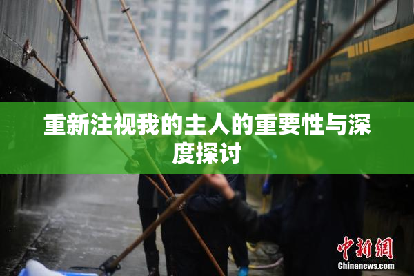 重新注视我的主人的重要性与深度探讨