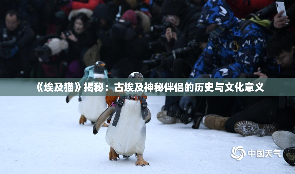 《埃及猫》揭秘：古埃及神秘伴侣的历史与文化意义