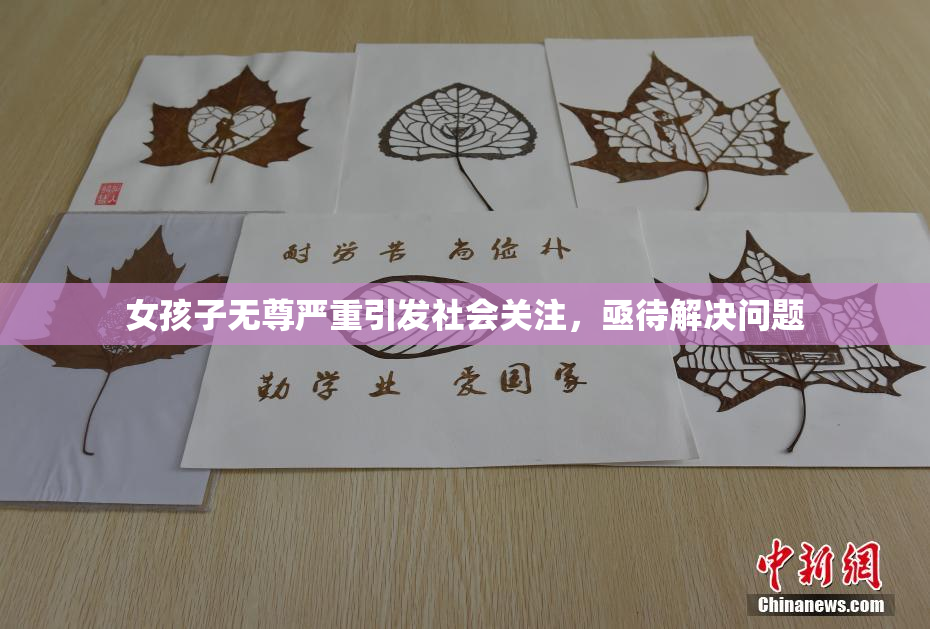 女孩子无尊严重引发社会关注，亟待解决问题