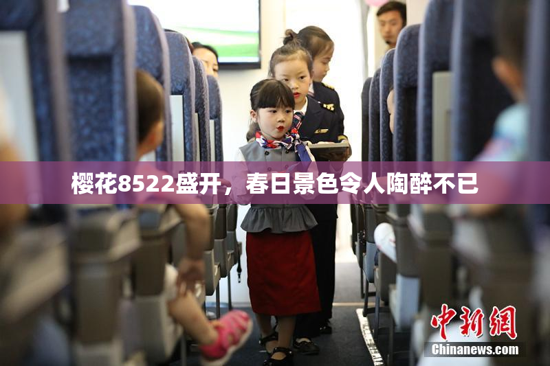 樱花8522盛开，春日景色令人陶醉不已