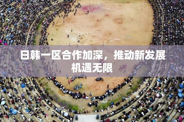 日韩一区合作加深，推动新发展机遇无限