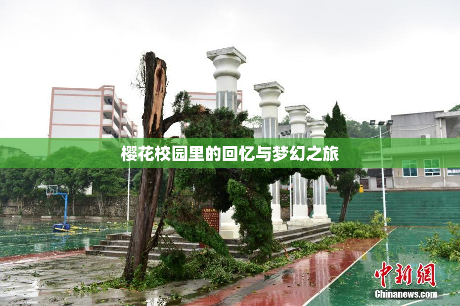 樱花校园里的回忆与梦幻之旅