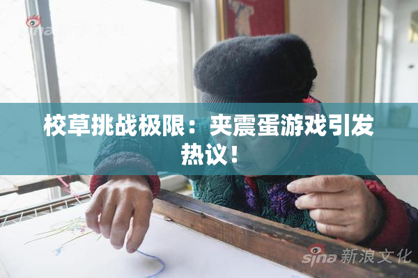 校草挑战极限：夹震蛋游戏引发热议！