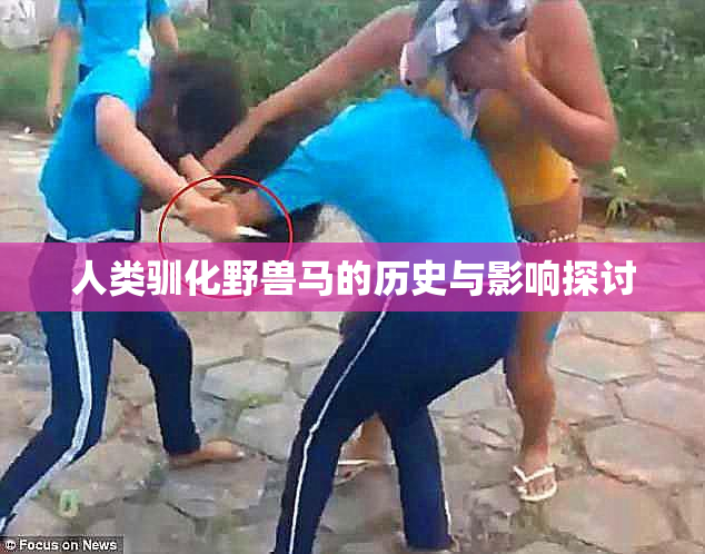 人类驯化野兽马的历史与影响探讨