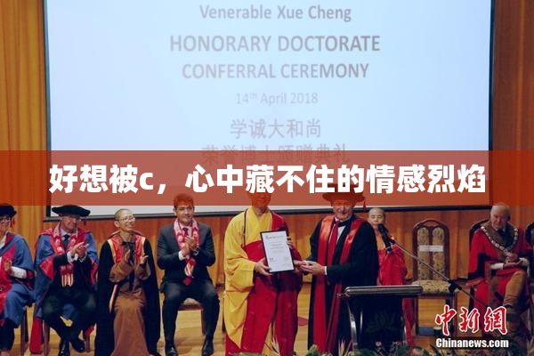 好想被c，心中藏不住的情感烈焰