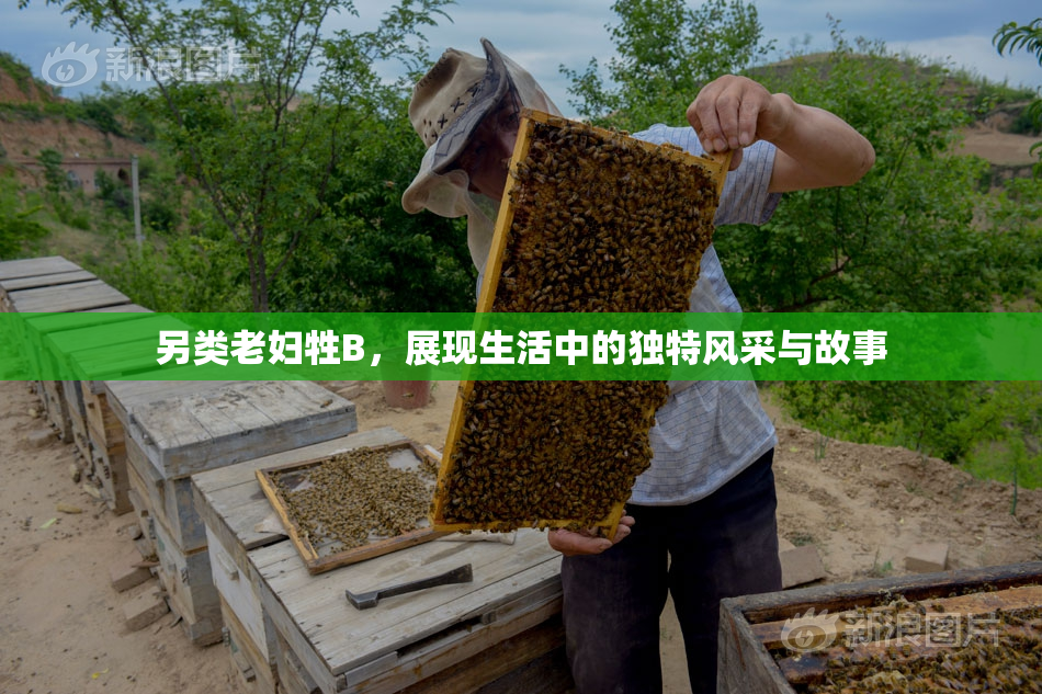 另类老妇牲B，展现生活中的独特风采与故事
