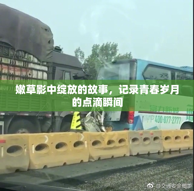 嫩草影中绽放的故事，记录青春岁月的点滴瞬间