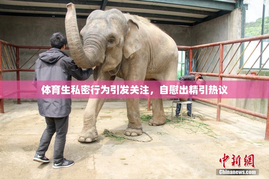 体育生私密行为引发关注，自慰出精引热议