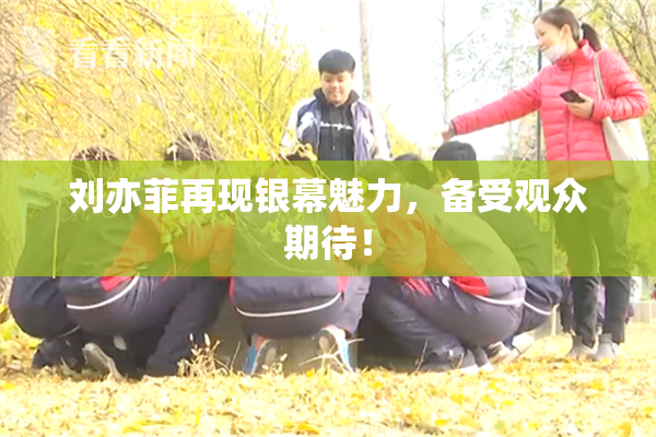 刘亦菲再现银幕魅力，备受观众期待！