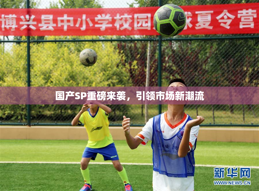 国产SP重磅来袭，引领市场新潮流