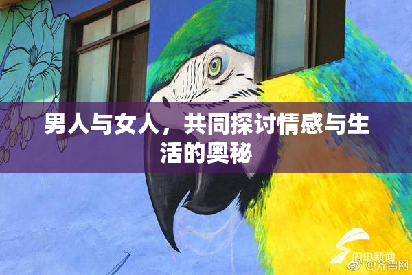 男人与女人，共同探讨情感与生活的奥秘