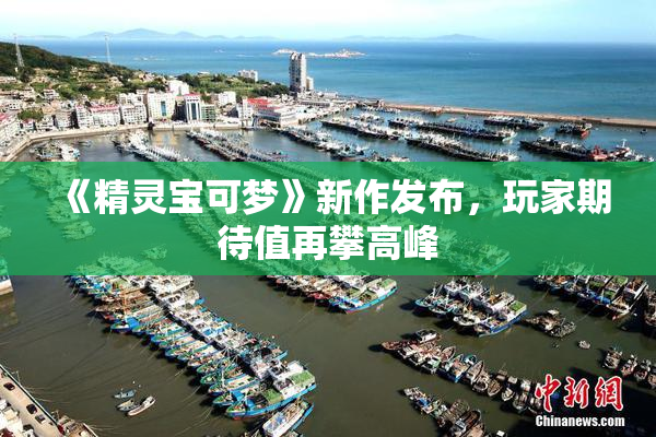 《精灵宝可梦》新作发布，玩家期待值再攀高峰