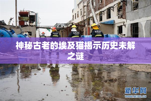 神秘古老的埃及猫揭示历史未解之谜