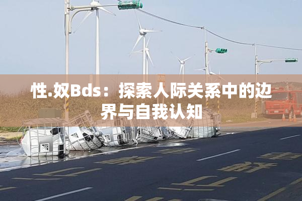 性.奴Bds：探索人际关系中的边界与自我认知