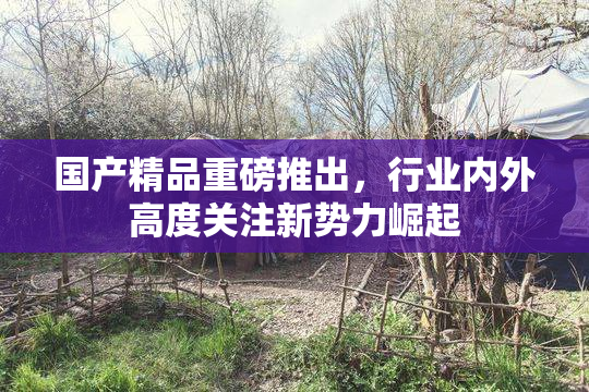 国产精品重磅推出，行业内外高度关注新势力崛起
