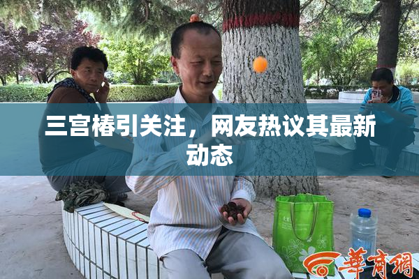 三宫椿引关注，网友热议其最新动态