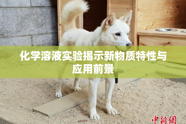 化学溶液实验揭示新物质特性与应用前景