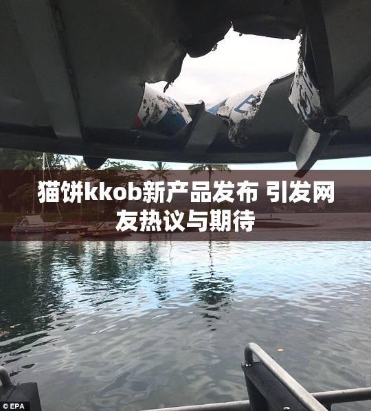 猫饼kkob新产品发布 引发网友热议与期待