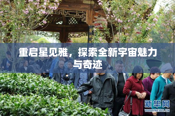 重启星见雅，探索全新宇宙魅力与奇迹
