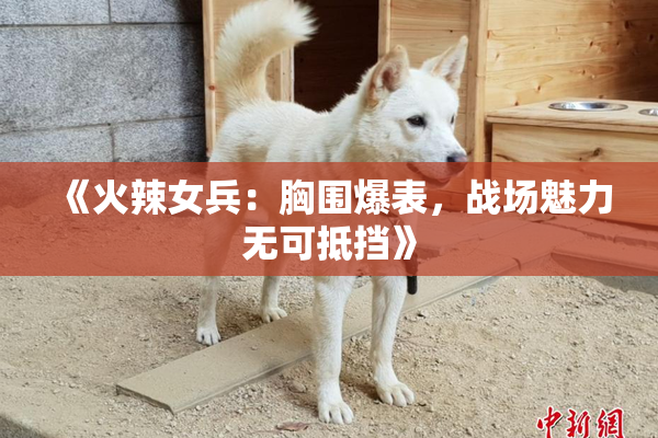 《火辣女兵：胸围爆表，战场魅力无可抵挡》