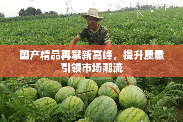 国产精品再攀新高峰，提升质量引领市场潮流