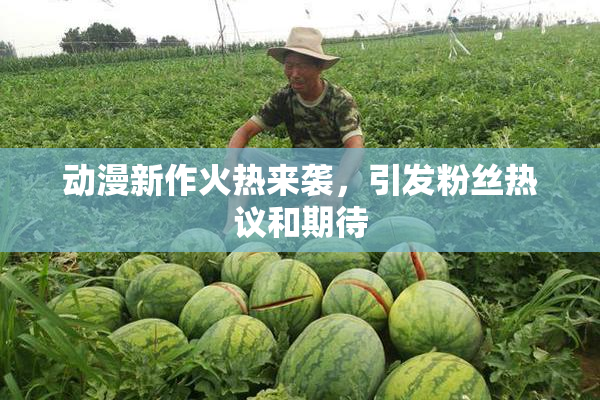 动漫新作火热来袭，引发粉丝热议和期待
