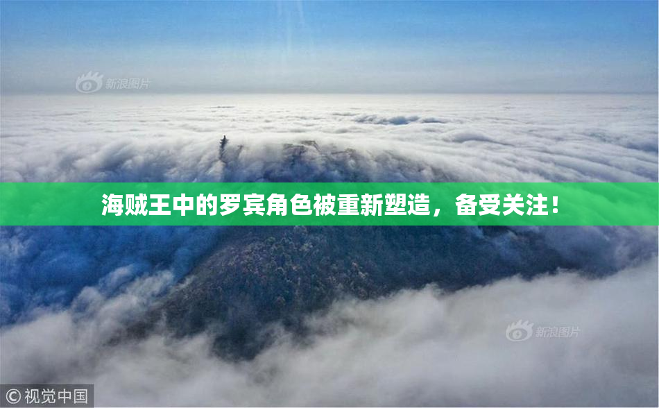 海贼王中的罗宾角色被重新塑造，备受关注！