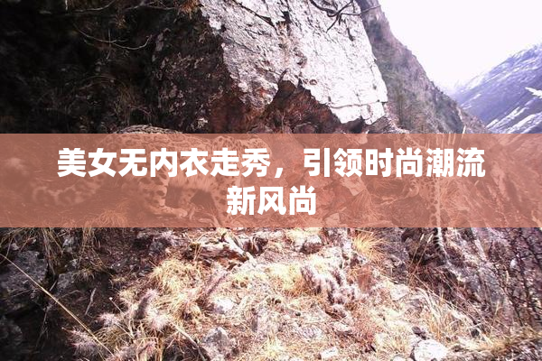 美女无内衣走秀，引领时尚潮流新风尚