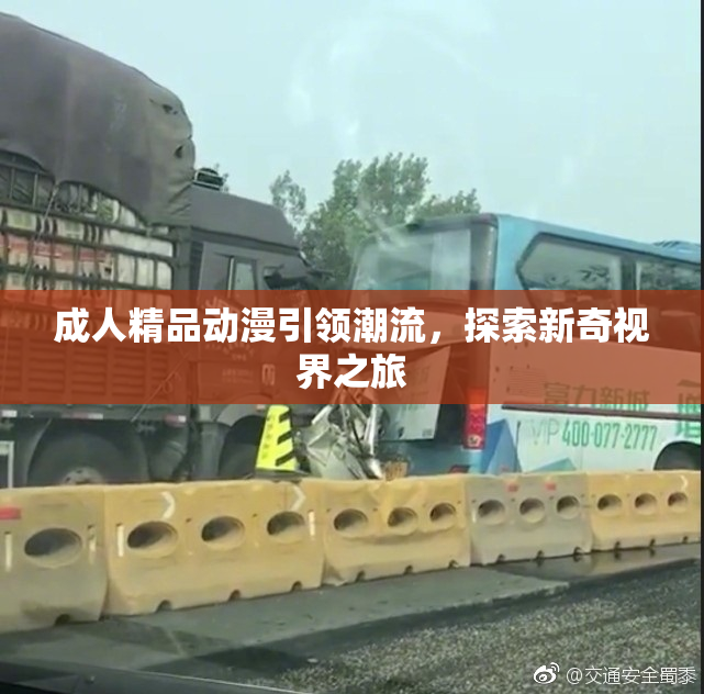成人精品动漫引领潮流，探索新奇视界之旅