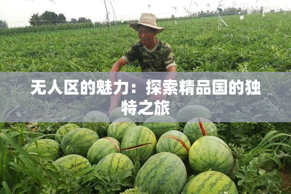 无人区的魅力：探索精品国的独特之旅