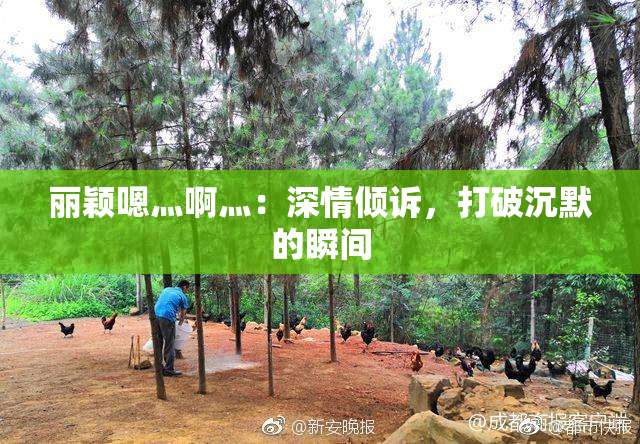 丽颖嗯灬啊灬：深情倾诉，打破沉默的瞬间