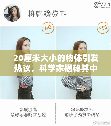 20厘米大小的物体引发热议，科学家揭秘其中奥妙！