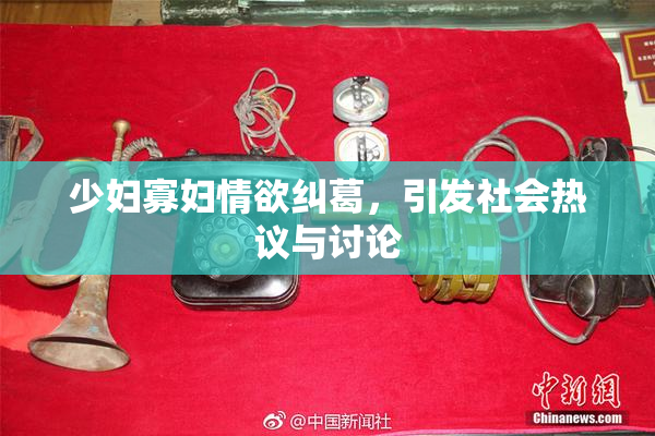 少妇寡妇情欲纠葛，引发社会热议与讨论