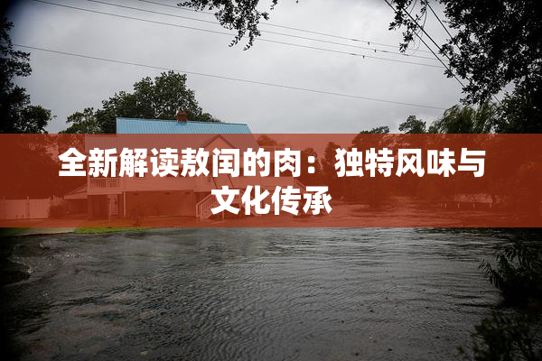 全新解读敖闰的肉：独特风味与文化传承