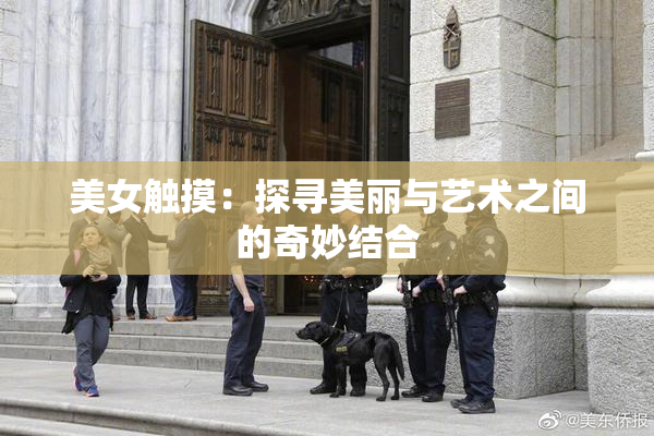 美女触摸：探寻美丽与艺术之间的奇妙结合