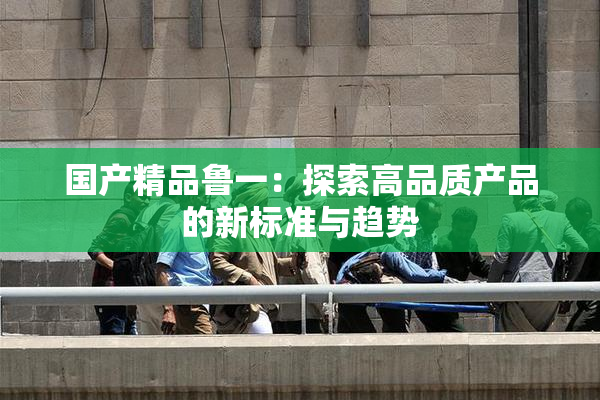 国产精品鲁一：探索高品质产品的新标准与趋势
