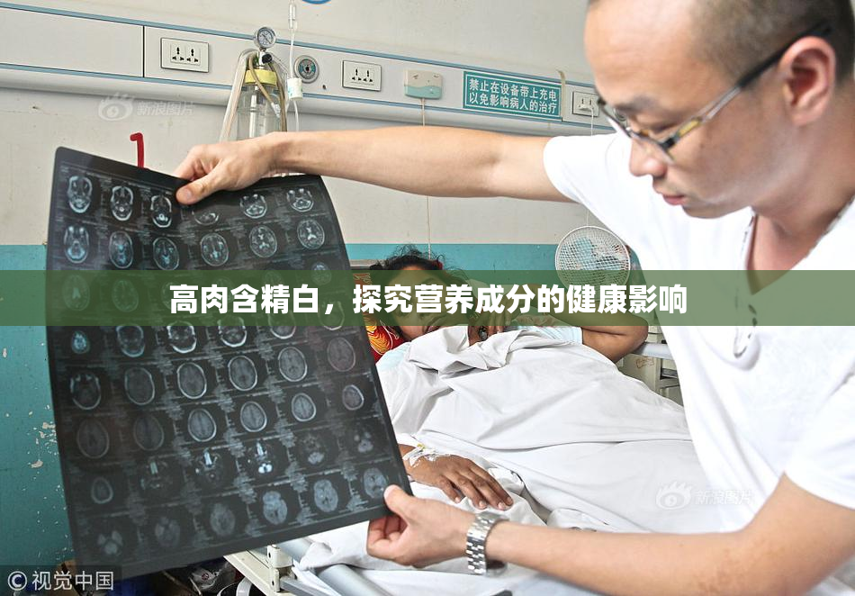 高肉含精白，探究营养成分的健康影响