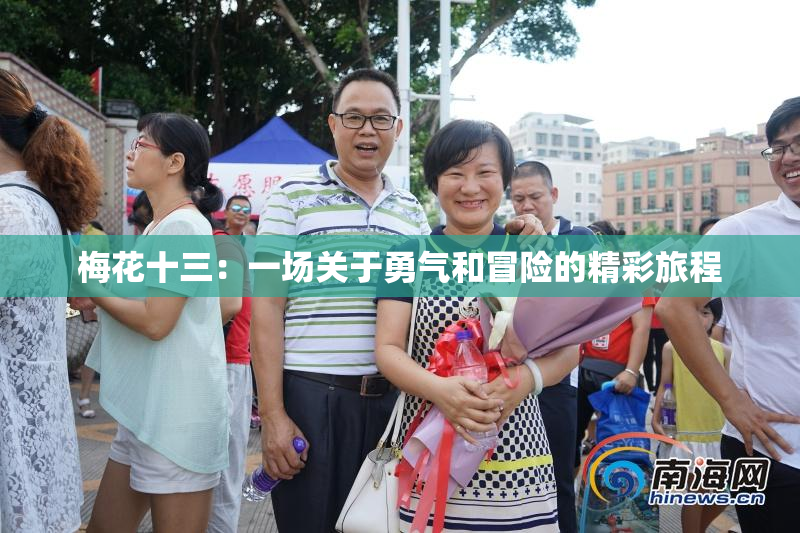 梅花十三：一场关于勇气和冒险的精彩旅程