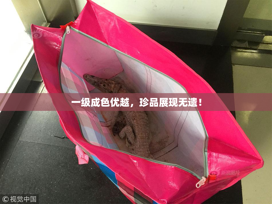一级成色优越，珍品展现无遗！